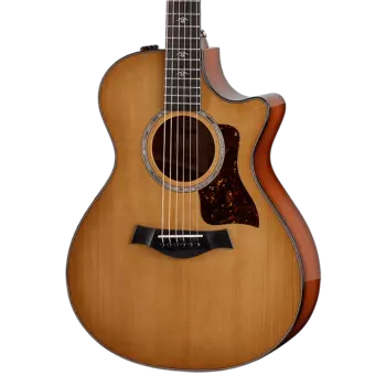 Большой концерт Taylor 512ce - Urban Ironbark