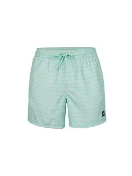 Бордшорты ONEILL, аква