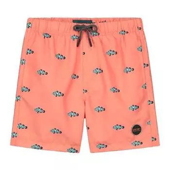 Бордшорты Рыба-клоун SHIWI, цвет orange