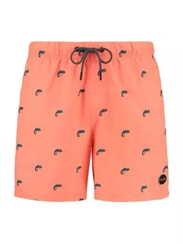 Бордшорты Shiwi, апельсин