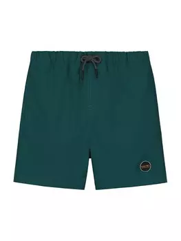 Бордшорты Shiwi, изумруд