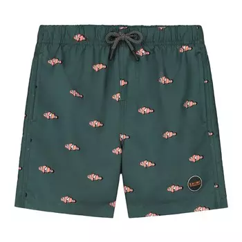 Бордшорты Shiwi, пихта