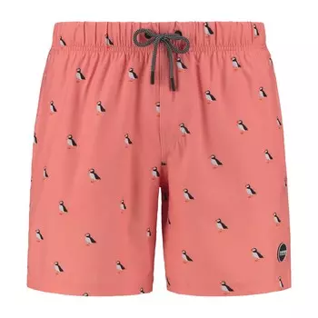 Бордшорты Shiwi puffin 4-way stretch, коралл