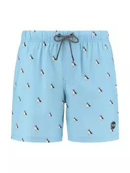 Бордшорты Shiwi puffin 4-way stretch, светло-синий