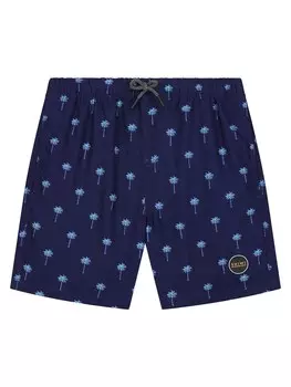 Бордшорты Shiwi, темно-синий/светло-голубой