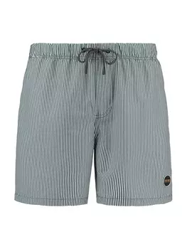 Бордшорты Shiwi, зеленый