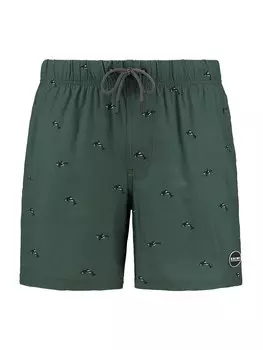 Бордшорты Shiwi, зеленый