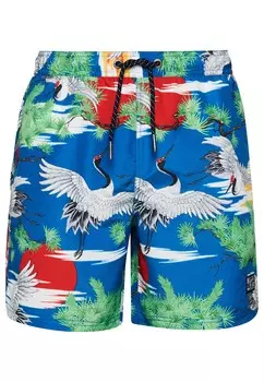 Бордшорты Superdry, королевский синий