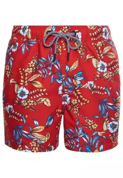 Бордшорты Superdry, красный