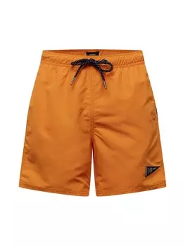 Бордшорты Superdry, омар