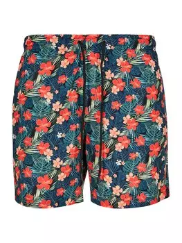 Бордшорты Urban Classics, смешанные цвета