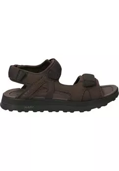 Босоножки с ремешками ATL TREK SUN Clarks, цвет braun