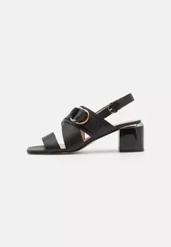 Босоножки с ремешками KAI Pinko, цвет black