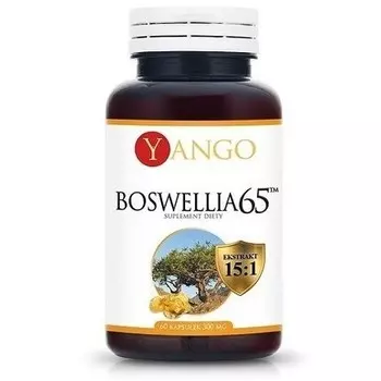 Boswellia 65 капсул - 60 штук Yango