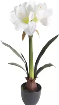 Botanic-Haus искусственный цветок "Амариллис" /27х57 см, кремово-белый