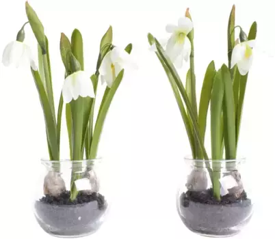 Botanic-Haus искусственный цветок "Подснежник в стакане" /12х20 см, кремовый/белый