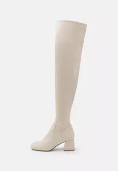 Ботфорты Capacity Steve Madden, цвет bone