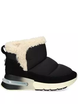 Ботильоны Ash Koala, черный