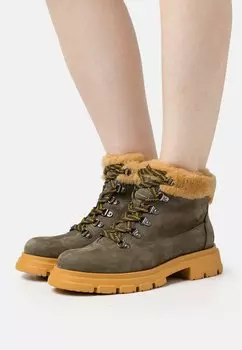 Ботильоны Candice Cooper, зеленый