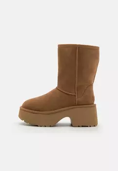 Ботильоны на платформе CLASSIC SHORT NEW HEIGHTS UGG, цвет Cognac