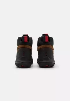 Ботильоны на шнуровке Polo Ralph Lauren ADVTR 300 MID LACE UNISEX, цвет teak/circuit brown