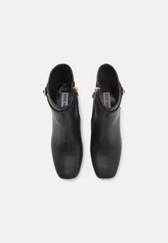 Ботильоны Steve Madden, черный