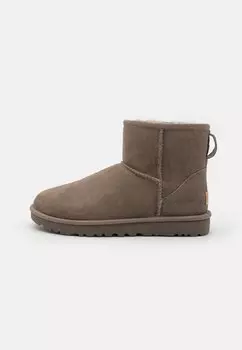 Ботильоны UGG CLASSIC MINI, цвет smoke plume