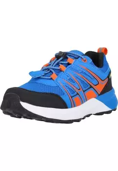 Ботильоны Whistler Talid, синий