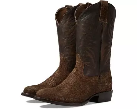 Ботинки Ariat Bankroll Western, цвет Hippo Tan Suede/Brooklyn Brown