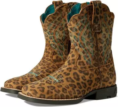 Ботинки Ariat Primetime Easy Fit Western Boot, цвет Faded Leopard