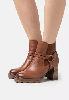 Ботинки бахос Tamaris, цвет cognac
