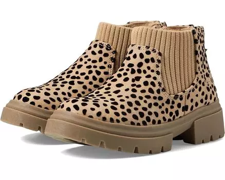 Ботинки Blowfish Malibu Chassy-T, цвет Sand Pixie Leopard/Tech Knit
