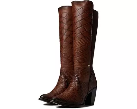 Ботинки CU402 Cuadra, мед