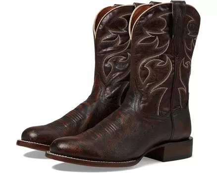 Ботинки Dan Post Clyde, цвет Cognac