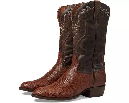 Ботинки Dan Post Scott, цвет Bay Apache