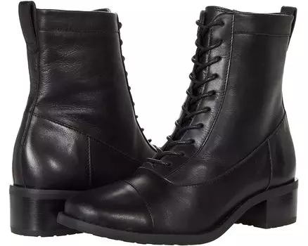 Ботинки David Tate Explorer, черный