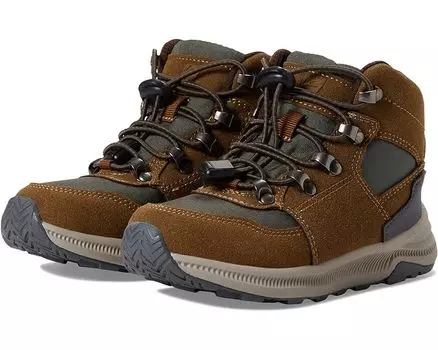 Ботинки Deer Stags Peak, цвет Chestnut/Green