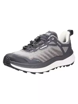 Ботинки для прогулки LOWA, черный