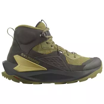 Ботинки для прогулки Salomon Elixir Mid GTX, цвет Black/Dried Herb/Southern Moss