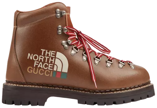 Ботинки Gucci The North Face x Gucci Ankle Boot 'Brown', коричневый