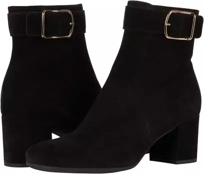 Ботинки La Canadienne Jesse, цвет Black Suede
