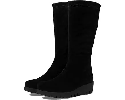 Ботинки La Canadienne Tova, цвет Black Suede