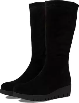 Ботинки La Canadienne Tova, цвет Black Suede