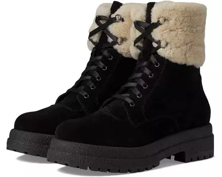 Ботинки La Canadienne Victor, цвет Black Suede