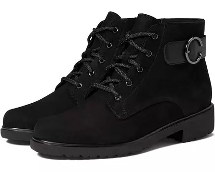Ботинки Munro Bradley II, черный