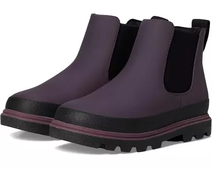 Ботинки Native Shoes Kids Kensington Chelsea, цвет Velvet Purple/Jiffy Black/Plum Purple