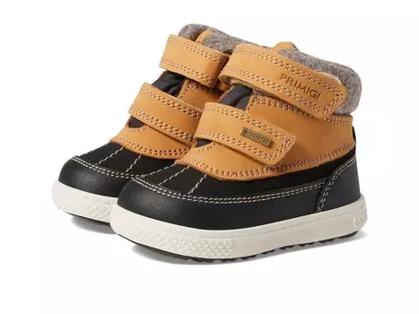 Ботинки Primigi Kids 28568 (Toddler/Little Kid)