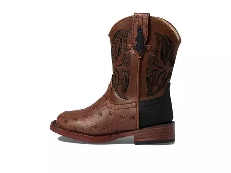 Ботинки Roper Kids Dalton (Toddler)