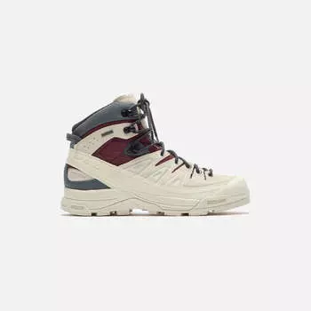 Ботинки Salomon X-ALP MID LTR GTX, цвет Almilk/Catawg/Turbulence