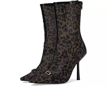 Ботинки Steve Madden Ashlin, цвет Leopard Mesh